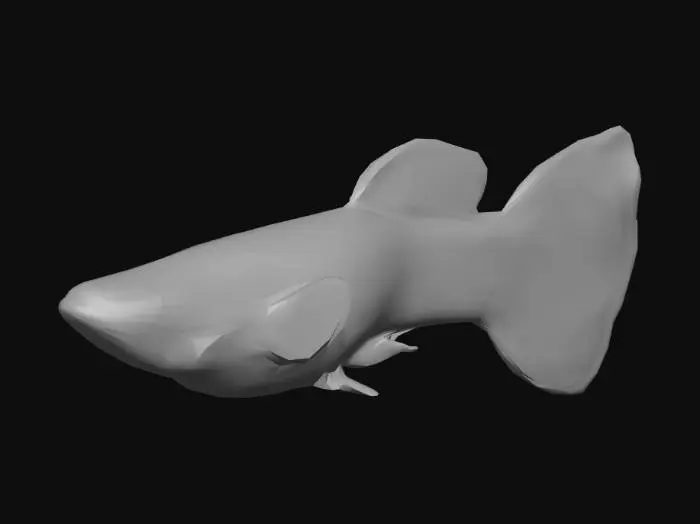 3D model for Endler Guppy Male