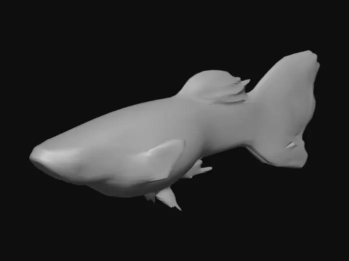3D model for Ginga Rubra Endler Guppy Male