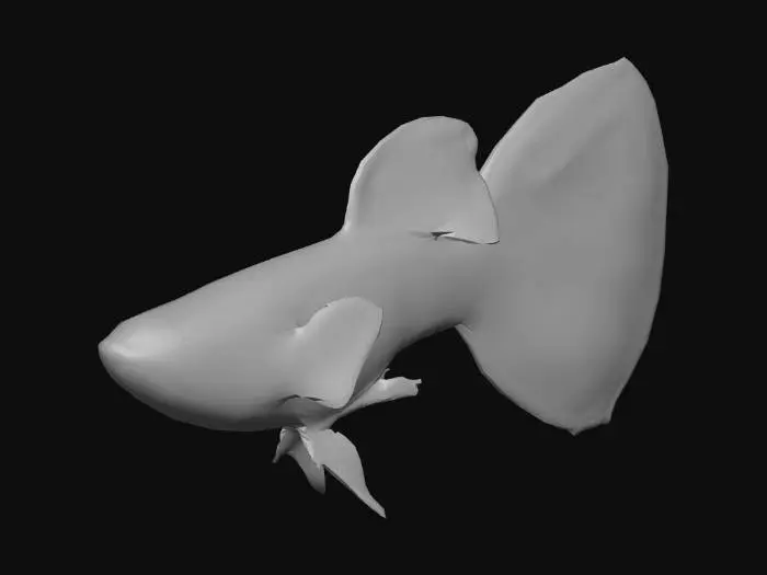 3D model for Japanese Blue Mosaic Guppy Male