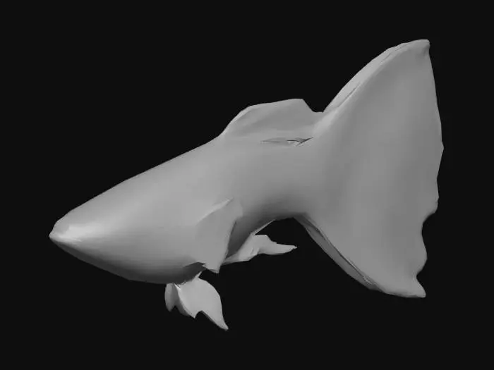 3D model for Albino-King-Cobra-Redtail Guppy Male