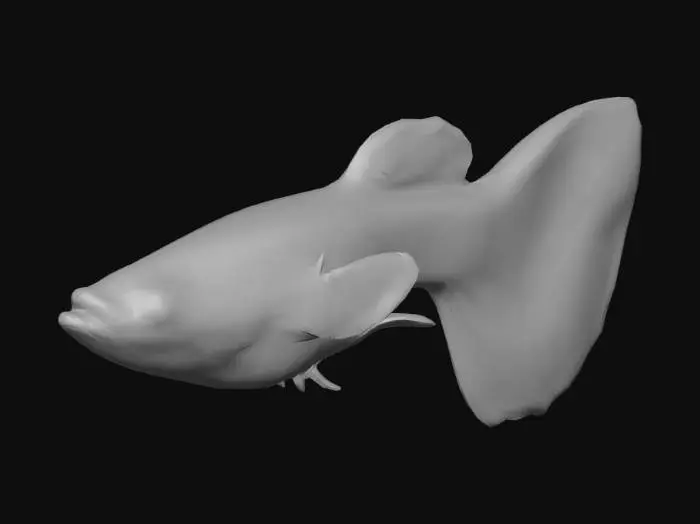 3D model for Leopard Guppy