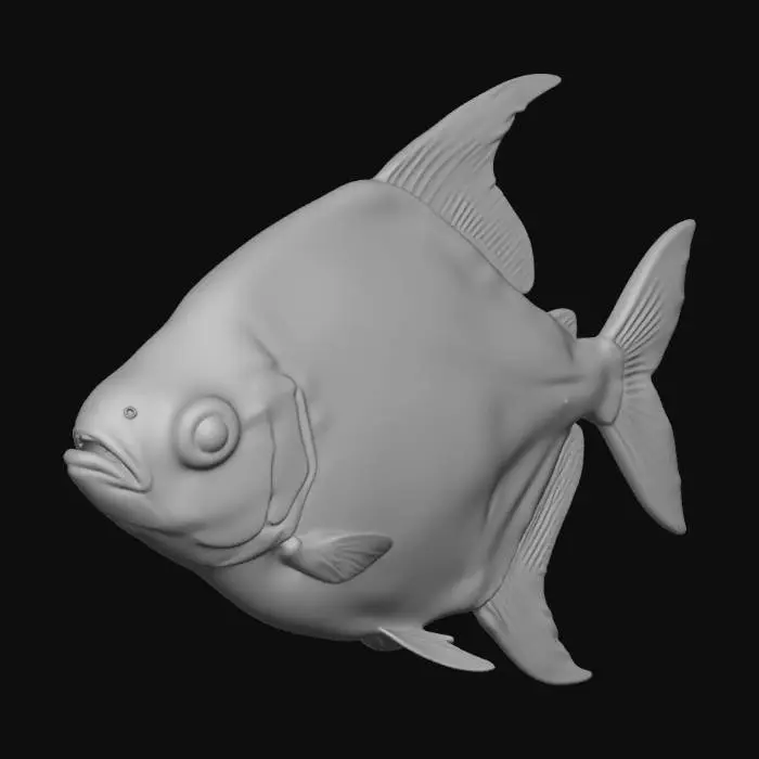 3D model for Striped Silver Dollar Piranha