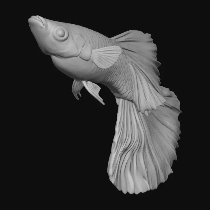 3D model for FancyAlbinoRed Halfmoon Guppy Male