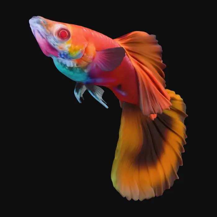 3D model for FancyAlbinoRed Halfmoon Guppy Male