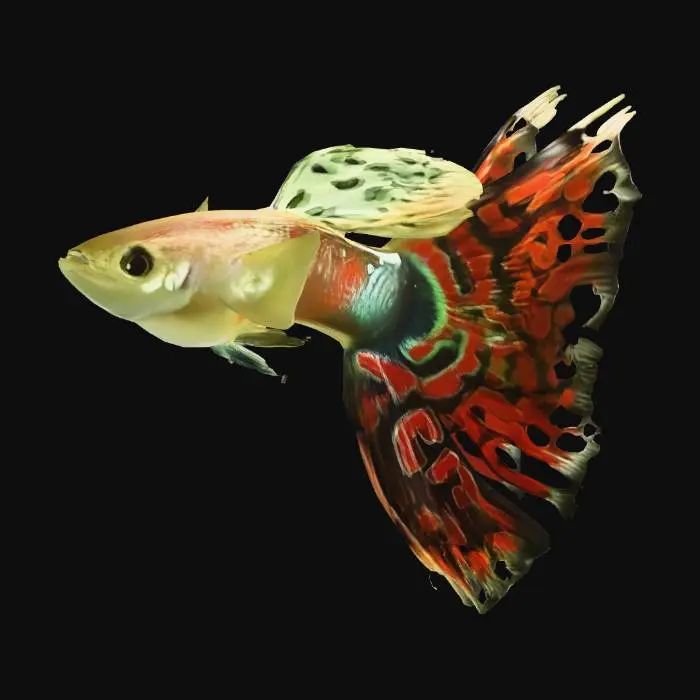 3D model for Mosaic Guppy