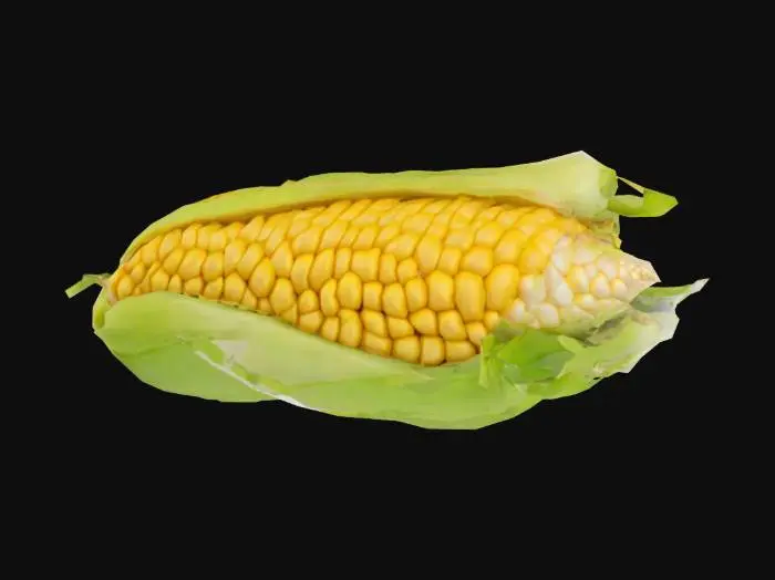 3D model for Golden Harvest