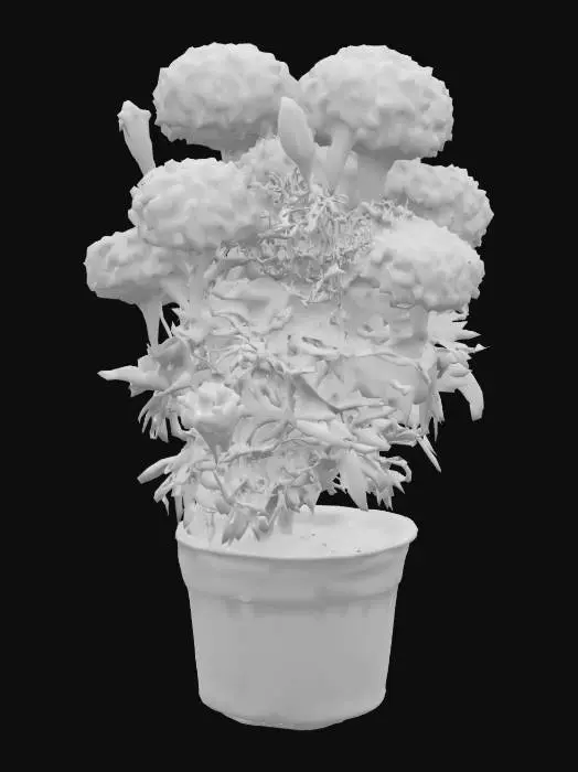 3D model for Marigold Elegance