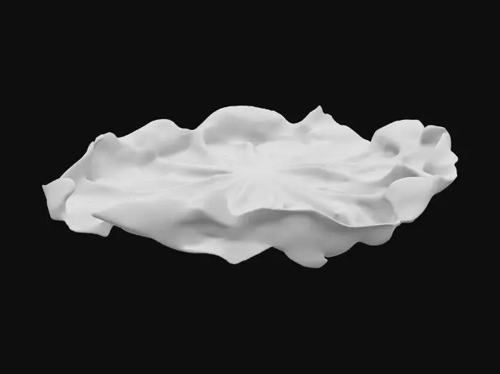 3D model for Pressed iceberg lettuce leaves ONLY (no other ingredients). Exactly three ultra-thin leaves overlapped to form a near-circular disc. Diameter 10–12 cm; total stack height ≤3 mm (target ~2 mm); each leaf 0.6–1.0 mm thick. Edges lightly ruffled, faint veins; folds mostly horizontal; no vertical peaks; almost planar with barely visible bun curvature (~5 cm). Compression cues: flattened top/bottom surfaces and subtle radial creases.

Output: single clean manifold mesh (lettuce only), quad-dominant, UV-unwrapped (no overlaps), mid-poly ≤8k tris, pivot centered, real-world scale. Style: photoreal, studio lighting, no background.

Negative: buns/ingredients, tall mound, bowl/cup shape, wrinkles >3 mm, thick stems, floating pieces, text, background.
