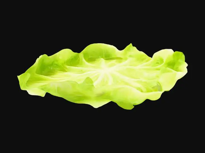 3D model for Pressed iceberg lettuce leaves ONLY (no other ingredients). Exactly three ultra-thin leaves overlapped to form a near-circular disc. Diameter 10–12 cm; total stack height ≤3 mm (target ~2 mm); each leaf 0.6–1.0 mm thick. Edges lightly ruffled, faint veins; folds mostly horizontal; no vertical peaks; almost planar with barely visible bun curvature (~5 cm). Compression cues: flattened top/bottom surfaces and subtle radial creases.

Output: single clean manifold mesh (lettuce only), quad-dominant, UV-unwrapped (no overlaps), mid-poly ≤8k tris, pivot centered, real-world scale. Style: photoreal, studio lighting, no background.

Negative: buns/ingredients, tall mound, bowl/cup shape, wrinkles >3 mm, thick stems, floating pieces, text, background.
