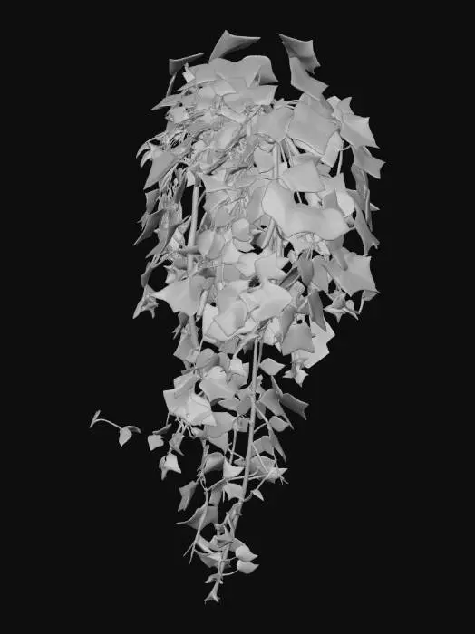 3D model for image of a vine