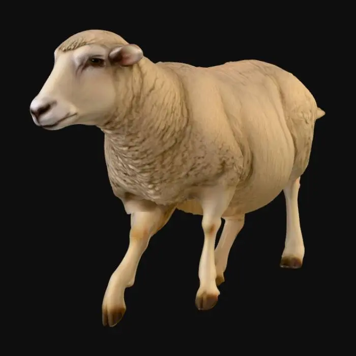 3D model for realistic merino sheep without horns