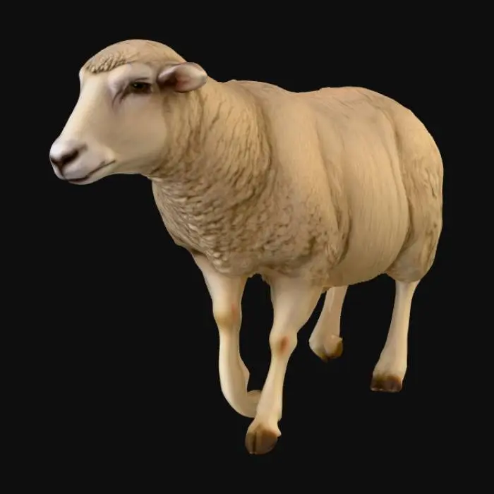 3D model for realistic merino sheep without horns