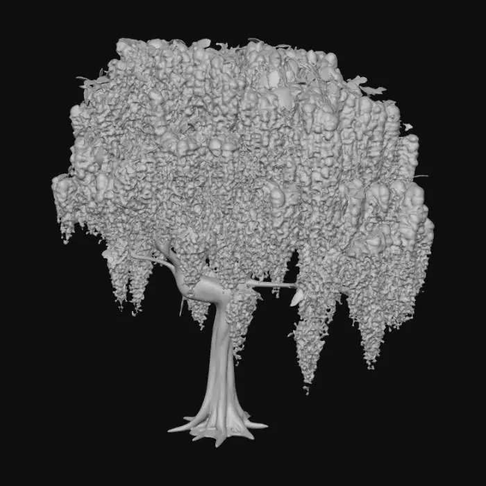 3D model for fammi albero
di glicine