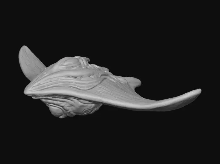 3D model for Stellar Manta