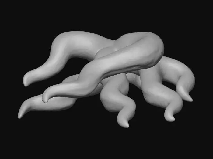 3D model for Roots of Mystery