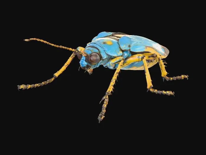 3D model for Colorful Beetle Artistry