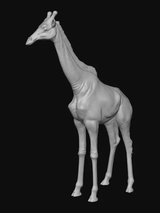 3D model for Giraffe Grace