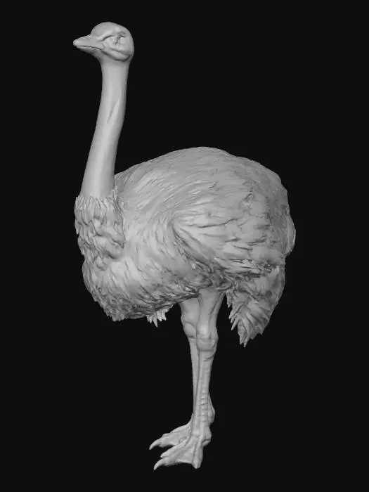 3D model for Desert Wanderer