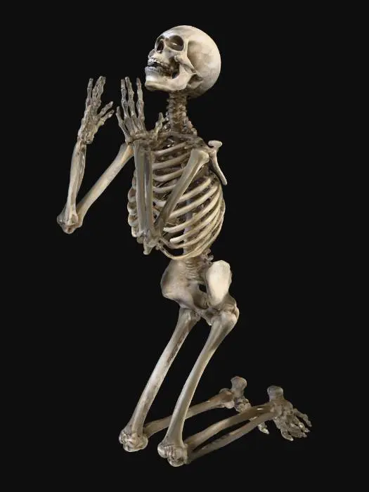 3D model for Praying Skeleton