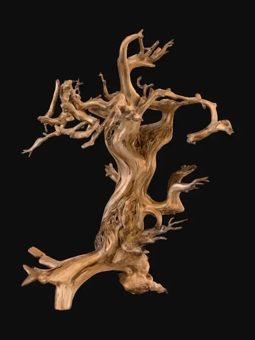 3D model for Twisted Elegance