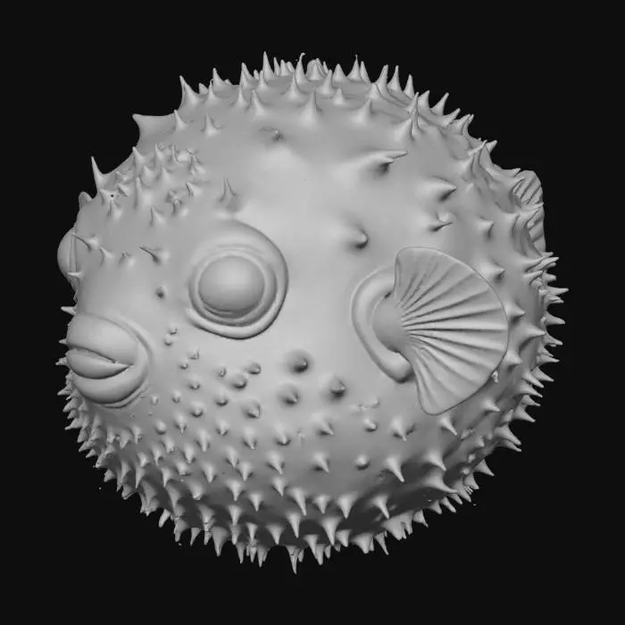 3D model for Spiky Wonder