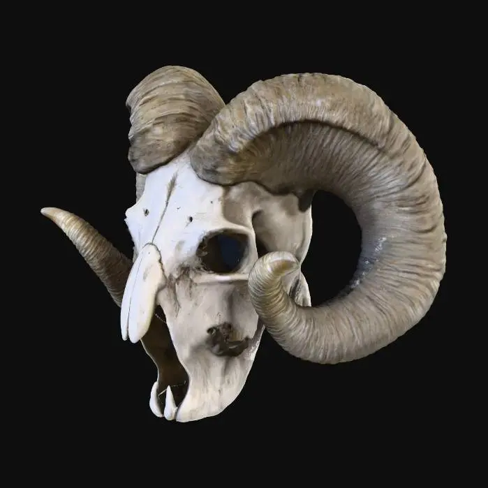 3D model for Ram's Legacy