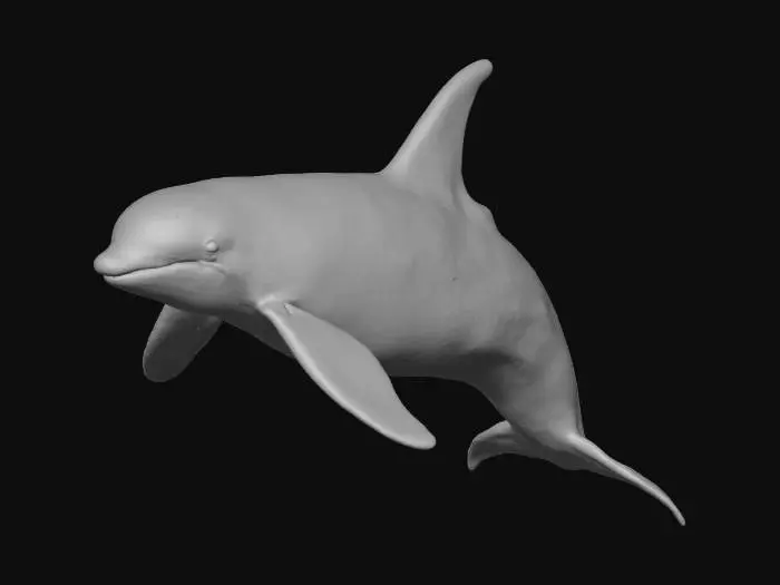 3D model for A hyper-detailed DnD miniature of a majestic orca, dynamically posed mid-breach above a translucent circular water base. Its sleek, wet-look skin features sharply contrasted black and stark white patterns. The muscular body and powerful tail are finely sculpted, conveying immense frozen motion. The shimmering water base displays subtle ripples and delicate foamy spray, capturing a powerful, yet elegant scene.