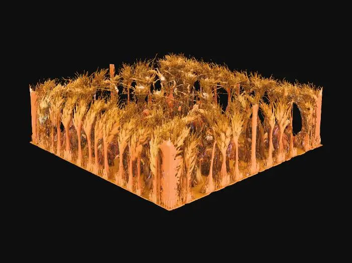 3D model for Golden Harvest