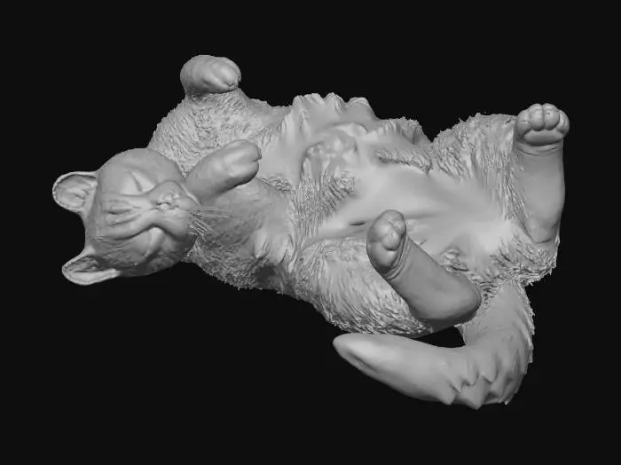 3D model for Sleepy Whiskers