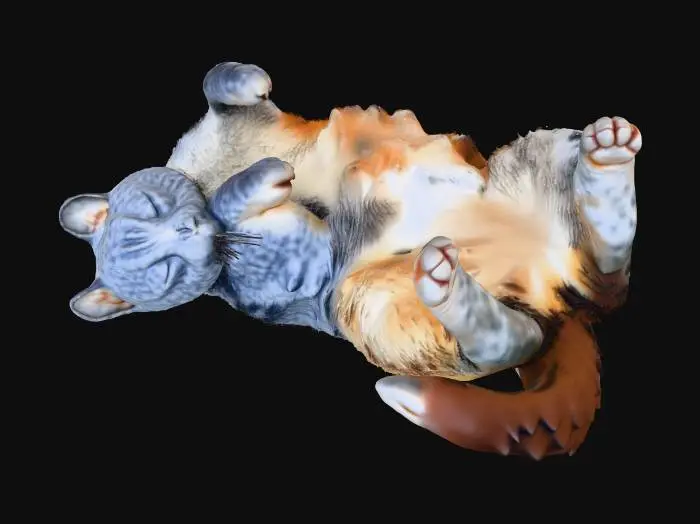 3D model for Sleepy Whiskers