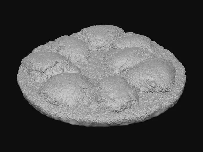 3D model for Mossy Planet