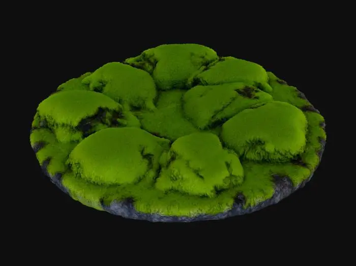 3D model for Mossy Planet