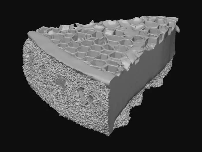 3D model for Honeycomb Cheesecake Slice