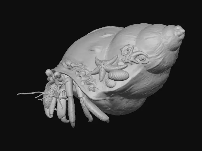 3D model for Coastal Reflections