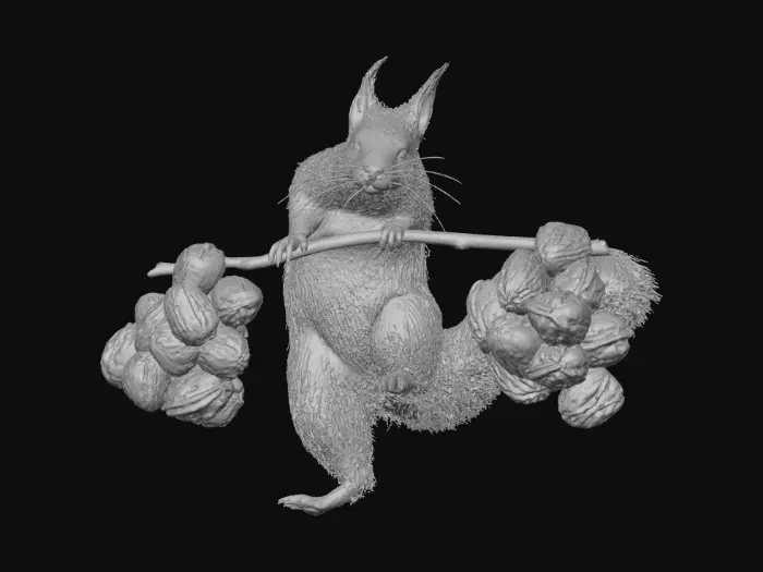 3D model for Squirrel Weightlifting