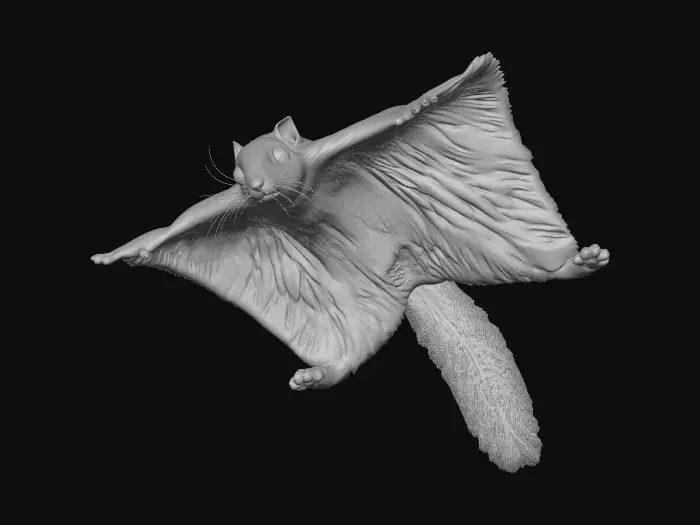 3D model for Flying Acrobat