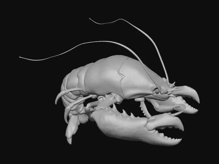 3D model for Azure Lobster