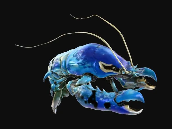 3D model for Azure Lobster