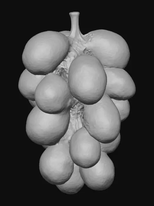 3D model for Opalescent Grapes