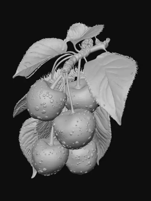 3D model for Cherries in Dew