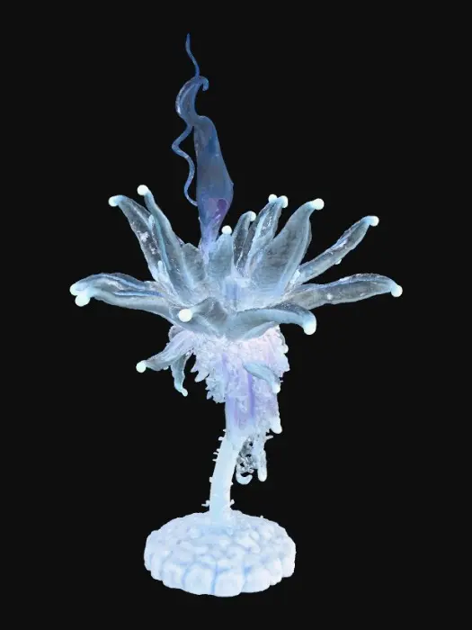 3D model for Frostfire Blossom, #Christmas2025#