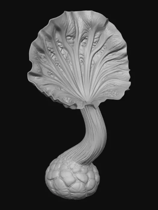 3D model for Lumina Orbicula