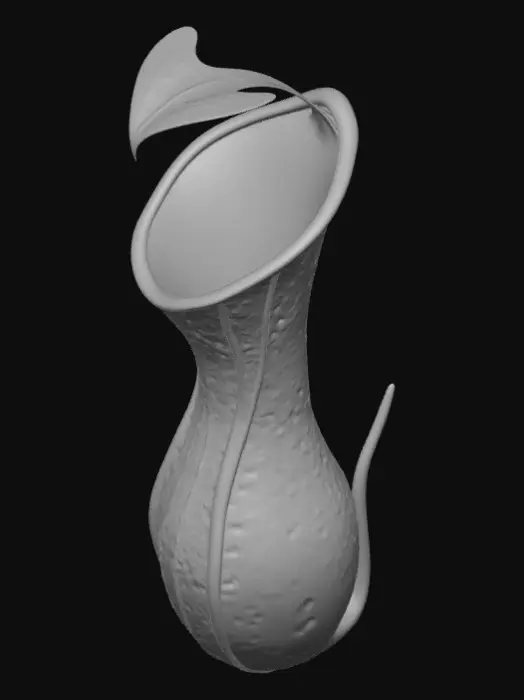 3D model for Enchanted Pitcher