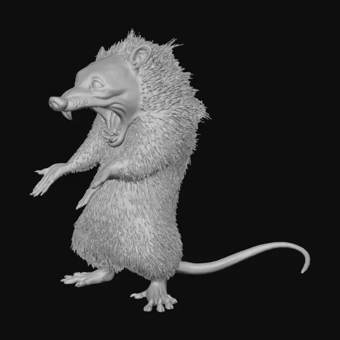 3D model for Surprised Possum
