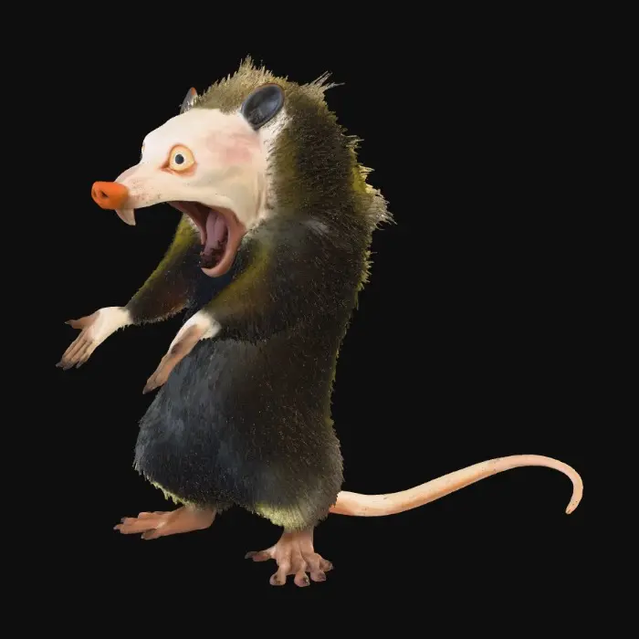 3D model for Surprised Possum