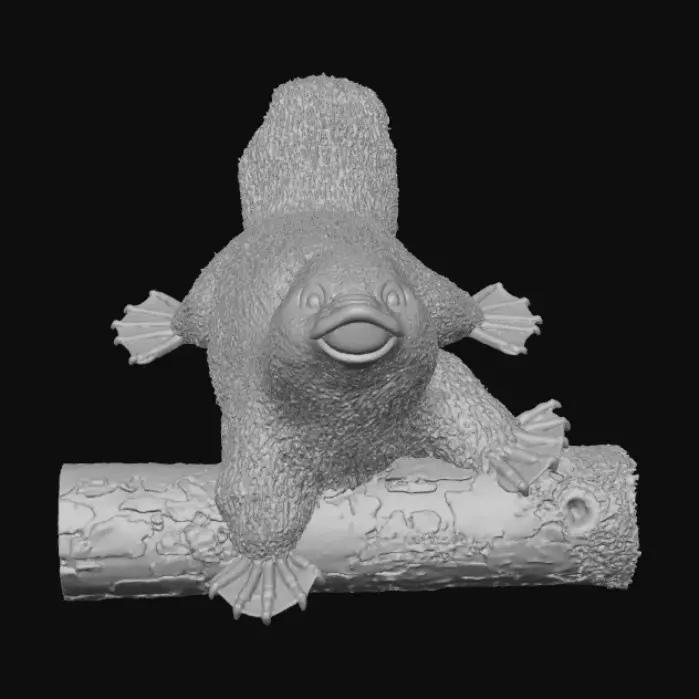 3D model for Playful Platypus