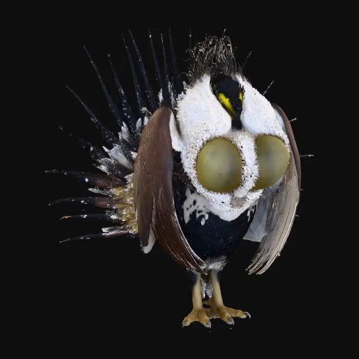 3D model for Strutting Sage Grouse