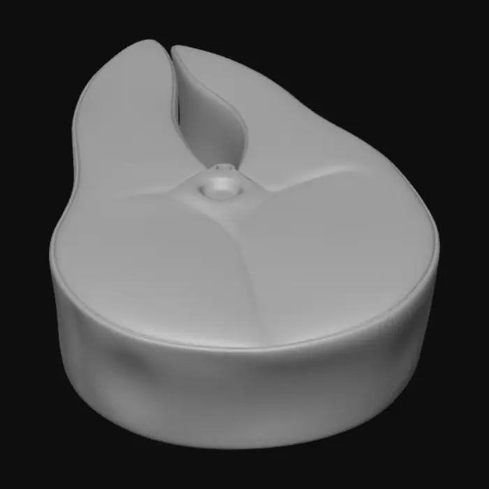 3D model for Salmon Slice Artistry