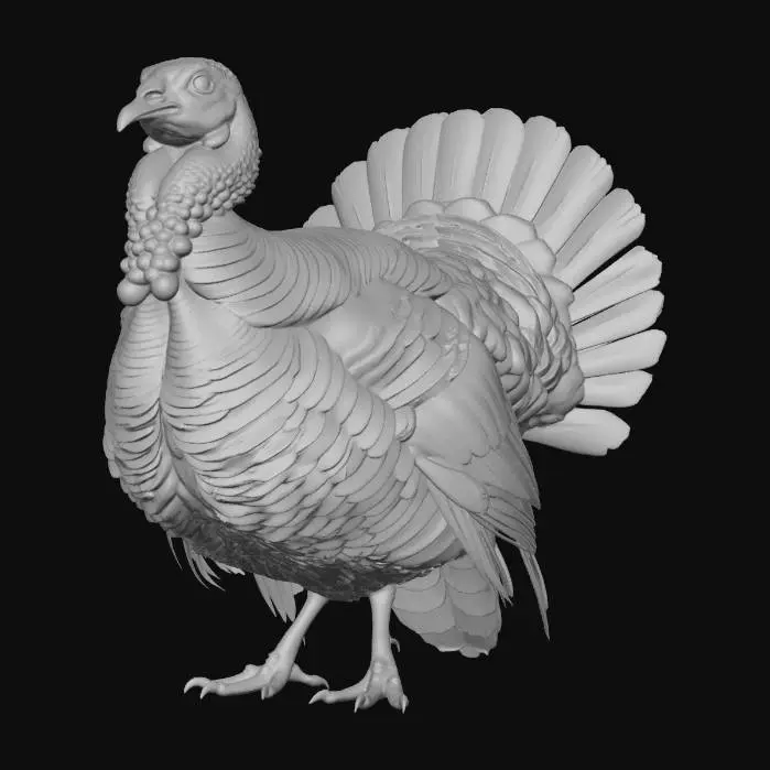3D model for Majestic Turkey