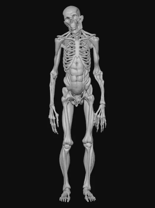3D model for A twisted cursed creature with a gaunt, elongated body wrapped in tattered flesh and dark bone. Its skin is pale, cracked, and veined with glowing red lines that pulse like fire. Hollow eyes glow faintly, and its mouth stretches unnaturally wide with jagged teeth. Long, clawed limbs bend at wrong angles, dragging as it moves. Black mist seeps from its body, giving it an eerie, haunting .